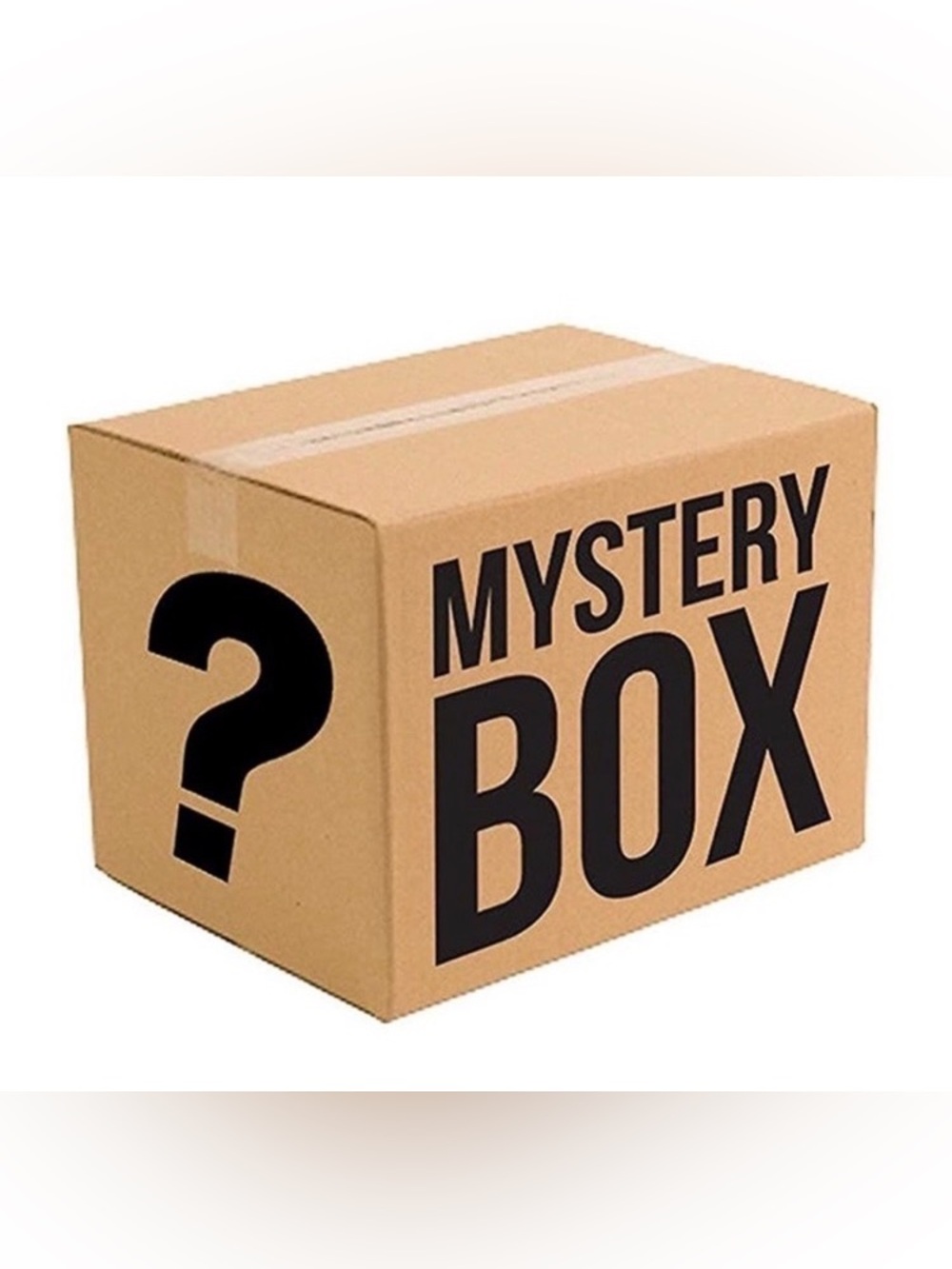 Mystery Box Surprise Bundle - Plus Size Reseller Bundle
